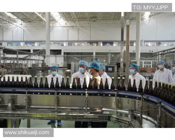 重磅专题：IG如何引领节奏革新与未来发展趋势分析