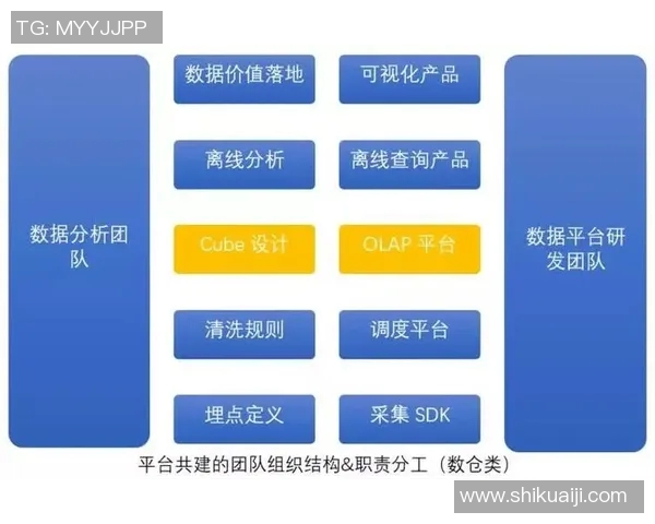 深入分析上海乒乓球队转换打法的战术特点与实战应用